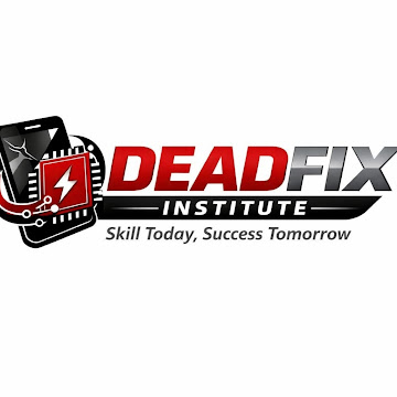DeadFix Institute
